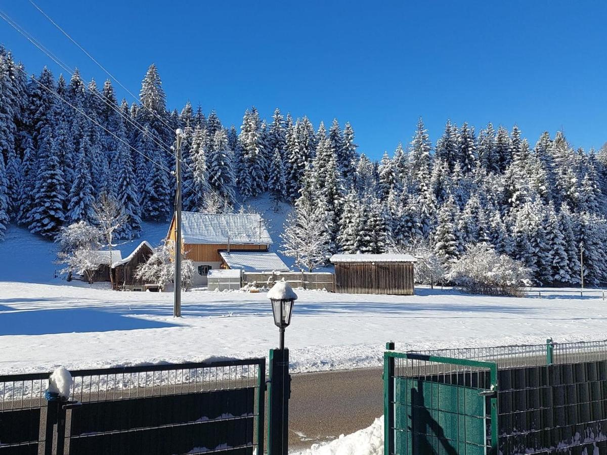 Ferienwohnungen Zwergenhäusl Grünau im Almtal Exterior foto