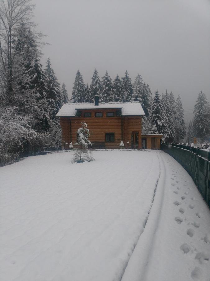 Ferienwohnungen Zwergenhäusl Grünau im Almtal Exterior foto